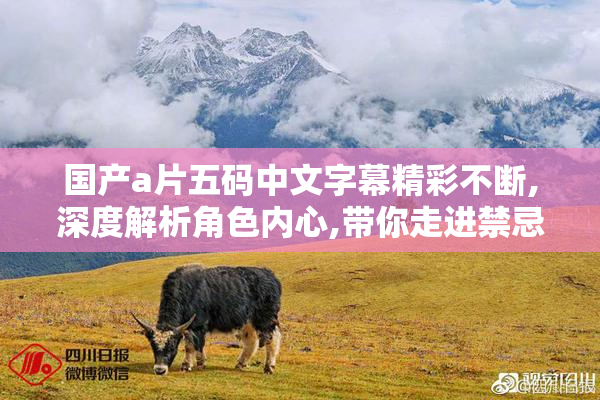 国产a片五码中文字幕精彩不断,深度解析角色内心,带你走进禁忌世界