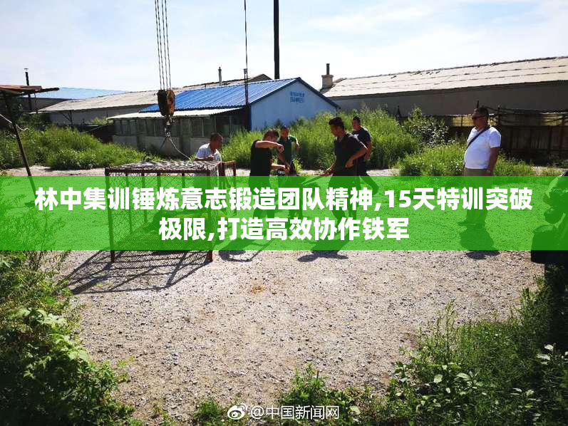 林中集训锤炼意志锻造团队精神,15天特训突破极限,打造高效协作铁军
