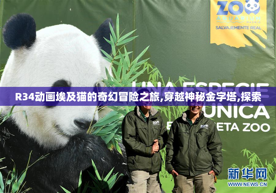 R34动画埃及猫的奇幻冒险之旅,穿越神秘金字塔,探索
