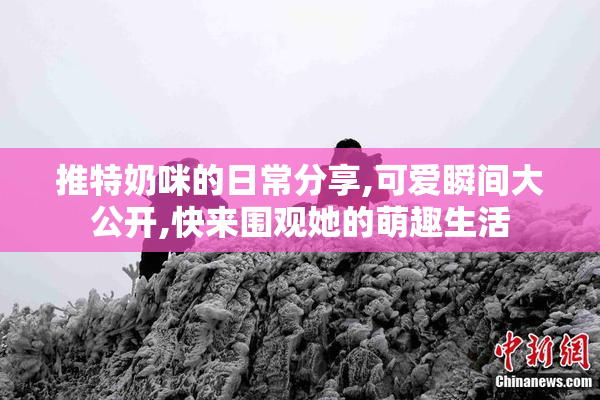 推特奶咪的日常分享,可爱瞬间大公开,快来围观她的萌趣生活