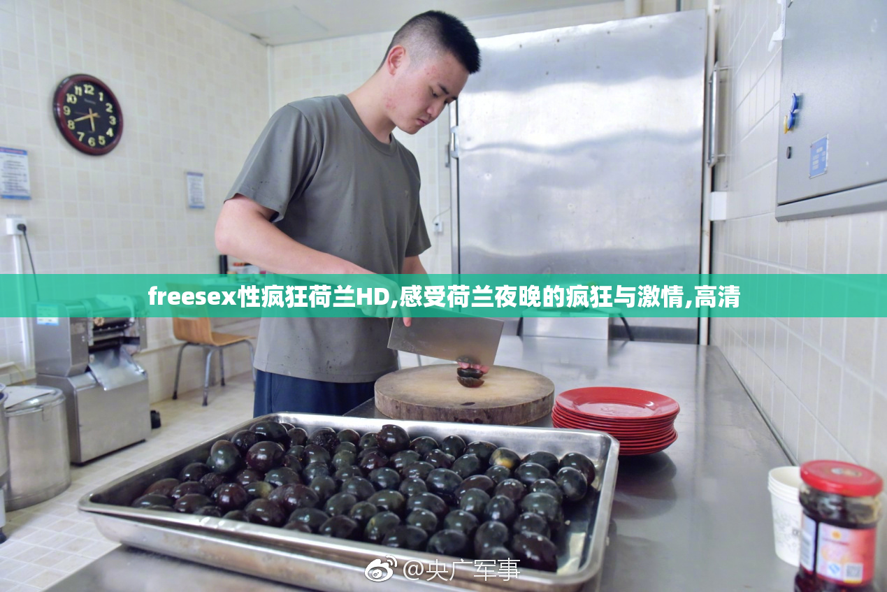 freesex性疯狂荷兰HD,感受荷兰夜晚的疯狂与激情,高清