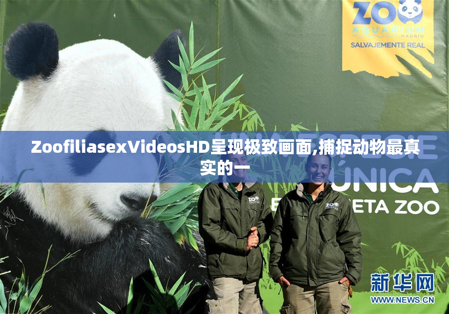 ZoofiliasexVideosHD呈现极致画面,捕捉动物最真实的一