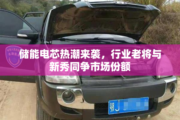 储能电芯热潮来袭，行业老将与新秀同争市场份额