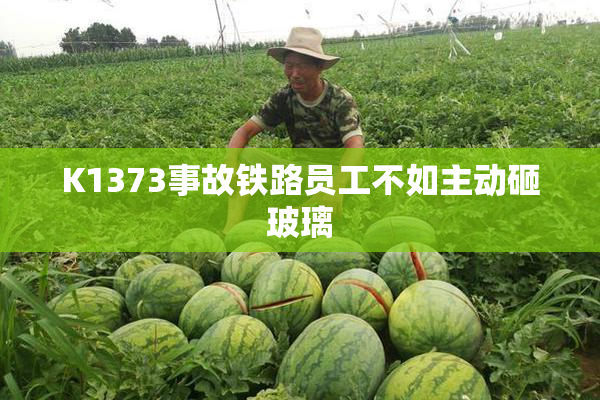K1373事故铁路员工不如主动砸玻璃