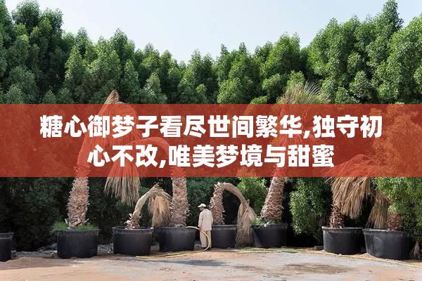 糖心御梦子看尽世间繁华,独守初心不改,唯美梦境与甜蜜