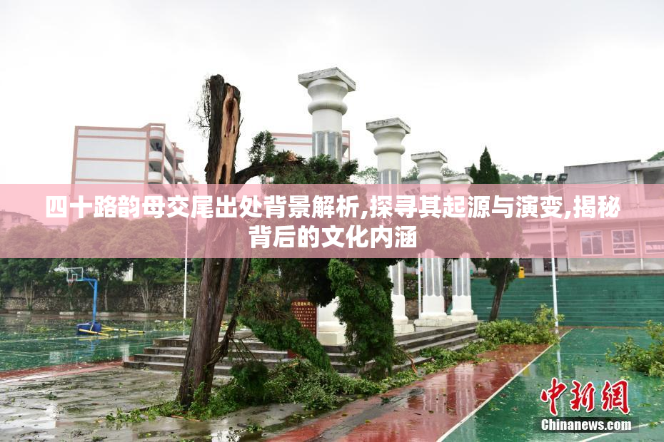 四十路韵母交尾出处背景解析,探寻其起源与演变,揭秘背后的文化内涵