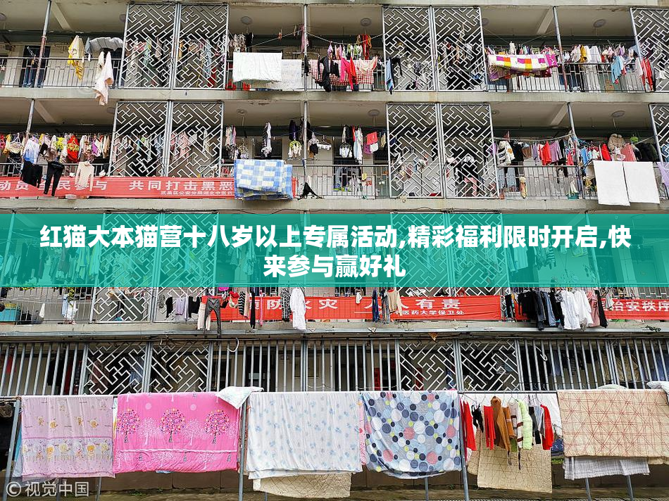 红猫大本猫营十八岁以上专属活动,精彩福利限时开启,快来参与赢好礼