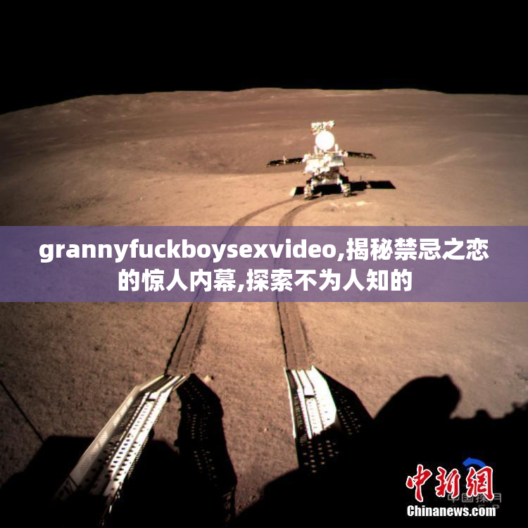 grannyfuckboysexvideo,揭秘禁忌之恋的惊人内幕,探索不为人知的