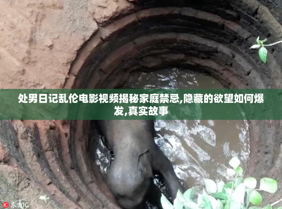 处男日记乱伦电影视频揭秘家庭禁忌,隐藏的欲望如何爆发,真实故事