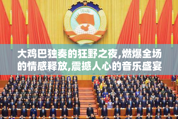 大鸡巴独奏的狂野之夜,燃爆全场的情感释放,震撼人心的音乐盛宴