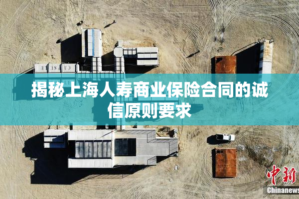 揭秘上海人寿商业保险合同的诚信原则要求