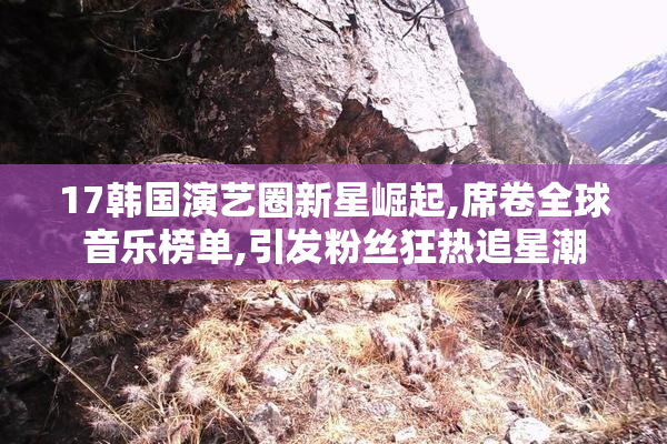 17韩国演艺圈新星崛起,席卷全球音乐榜单,引发粉丝狂热追星潮