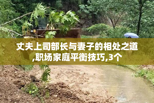 丈夫上司部长与妻子的相处之道,职场家庭平衡技巧,3个