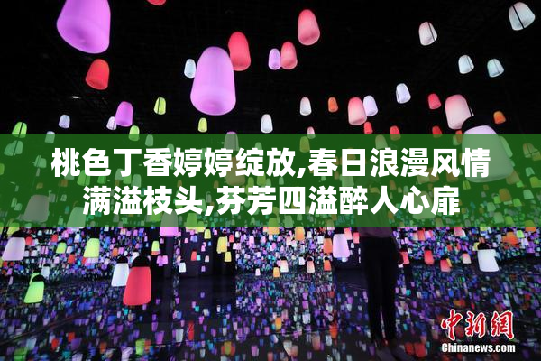 桃色丁香婷婷绽放,春日浪漫风情满溢枝头,芬芳四溢醉人心扉