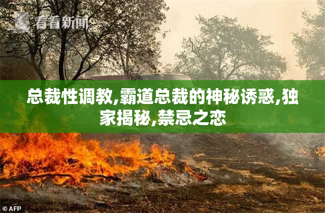 总裁性调教,霸道总裁的神秘诱惑,独家揭秘,禁忌之恋