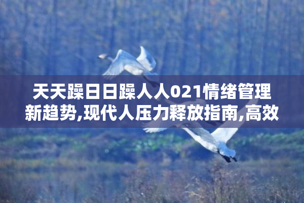天天躁日日躁人人021情绪管理新趋势,现代人压力释放指南,高效缓解