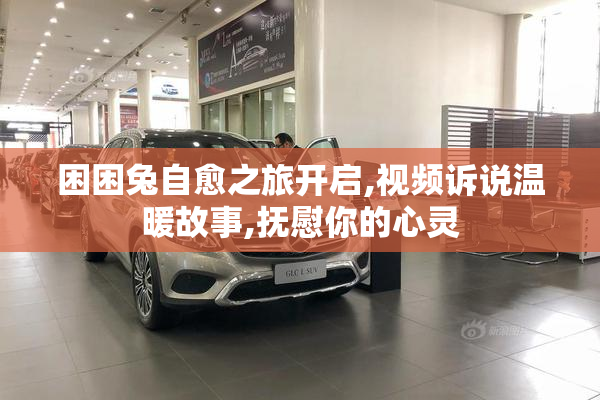 困困兔自愈之旅开启,视频诉说温暖故事,抚慰你的心灵