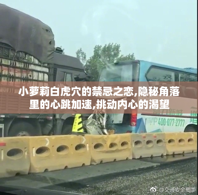 小萝莉白虎穴的禁忌之恋,隐秘角落里的心跳加速,挑动内心的渴望