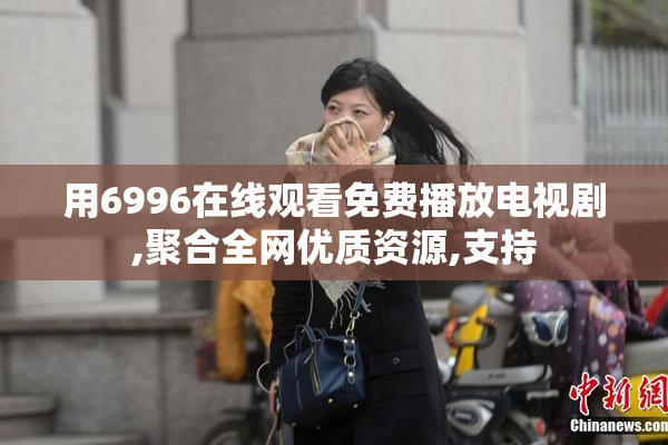 用6996在线观看免费播放电视剧,聚合全网优质资源,支持