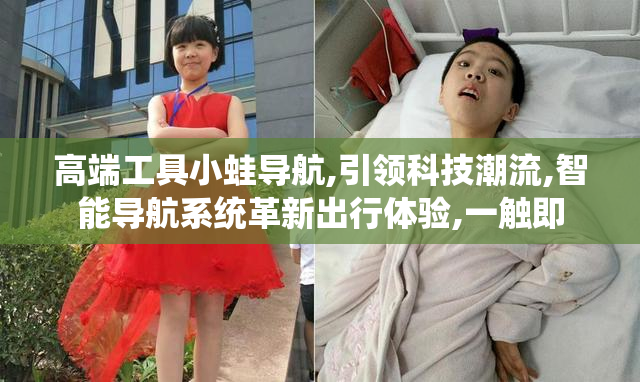 高端工具小蛙导航,引领科技潮流,智能导航系统革新出行体验,一触即