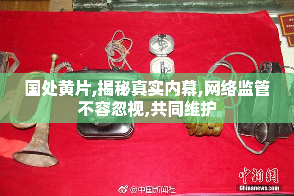 国处黄片,揭秘真实内幕,网络监管不容忽视,共同维护