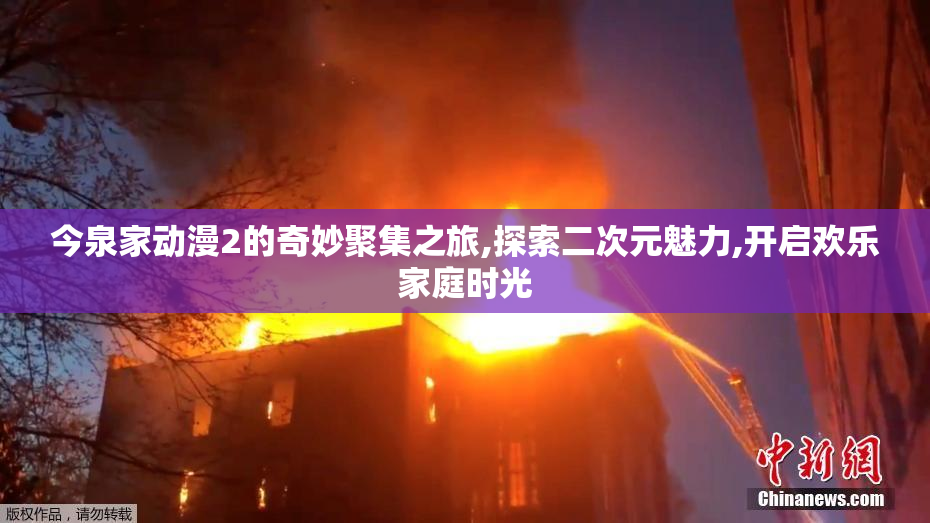 今泉家动漫2的奇妙聚集之旅,探索二次元魅力,开启欢乐家庭时光