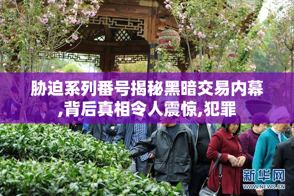 胁迫系列番号揭秘黑暗交易内幕,背后真相令人震惊,犯罪