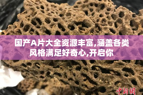 国产A片大全资源丰富,涵盖各类风格满足好奇心,开启你
