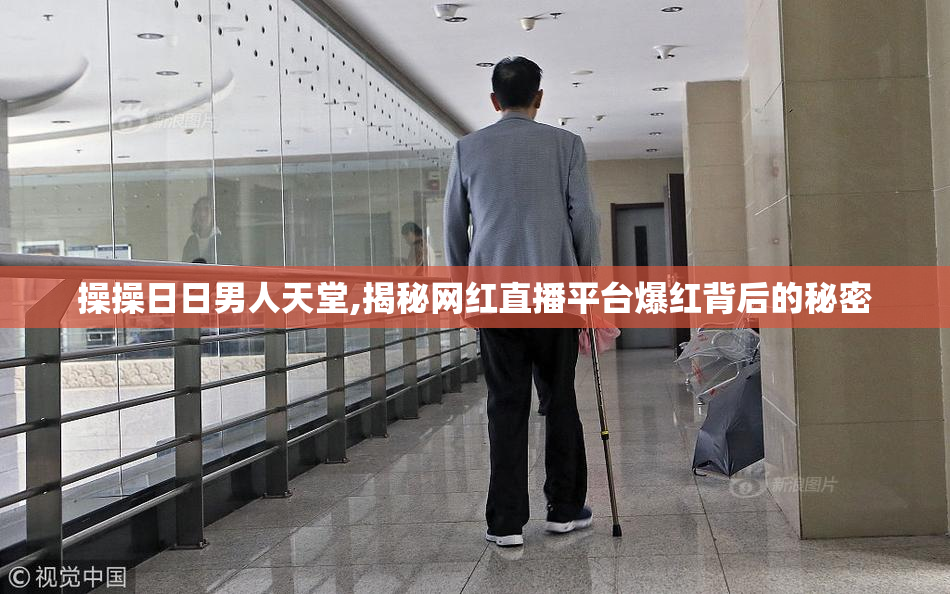 操操日日男人天堂,揭秘网红直播平台爆红背后的秘密