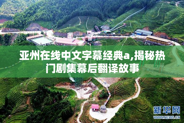 亚州在线中文字幕经典a,揭秘热门剧集幕后翻译故事