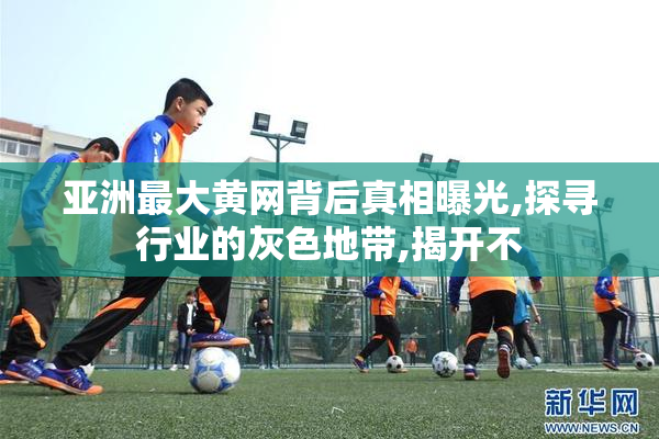 亚洲最大黄网背后真相曝光,探寻行业的灰色地带,揭开不