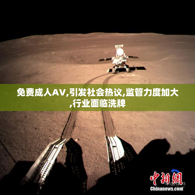 免费成人AV,引发社会热议,监管力度加大,行业面临洗牌