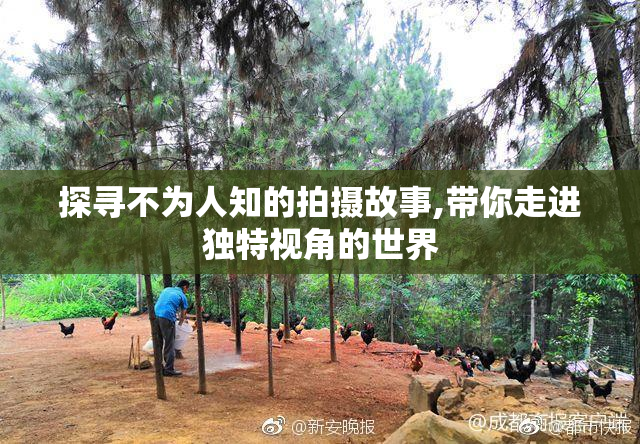 探寻不为人知的拍摄故事,带你走进独特视角的世界