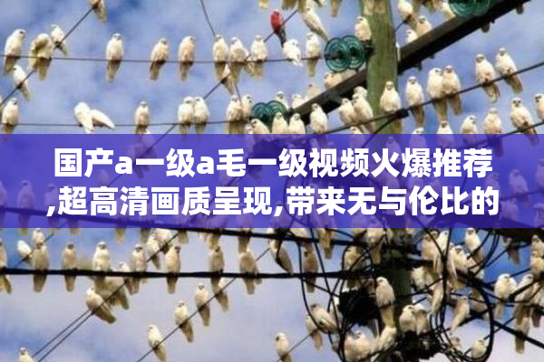 国产a一级a毛一级视频火爆推荐,超高清画质呈现,带来无与伦比的