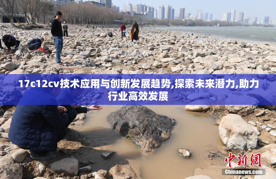 17c12cv技术应用与创新发展趋势,探索未来潜力,助力行业高效发展