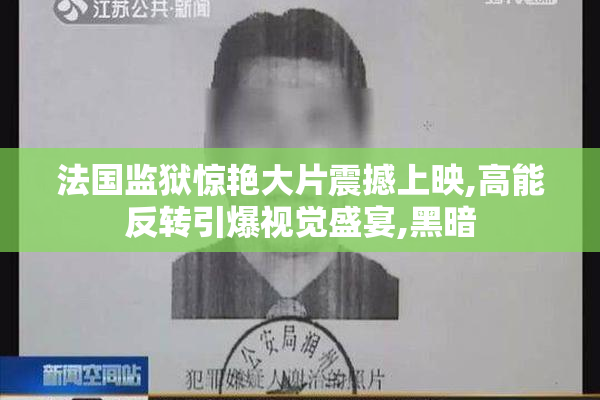 法国监狱惊艳大片震撼上映,高能反转引爆视觉盛宴,黑暗