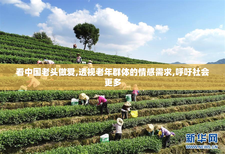 看中国老头做爱,透视老年群体的情感需求,呼吁社会更多