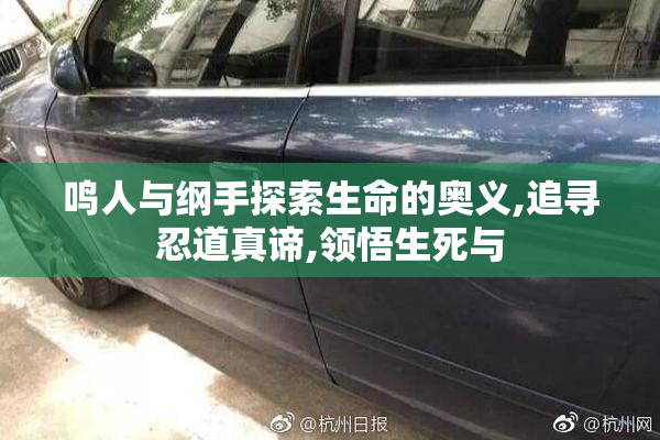 鸣人与纲手探索生命的奥义,追寻忍道真谛,领悟生死与