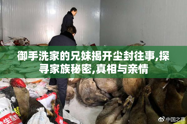 御手洗家的兄妹揭开尘封往事,探寻家族秘密,真相与亲情