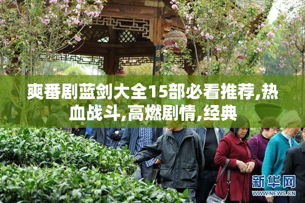 爽番剧蓝剑大全15部必看推荐,热血战斗,高燃剧情,经典
