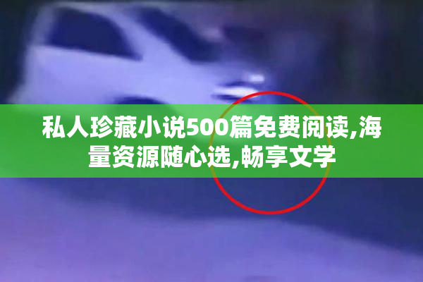 私人珍藏小说500篇免费阅读,海量资源随心选,畅享文学