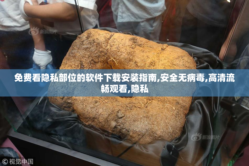 免费看隐私部位的软件下载安装指南,安全无病毒,高清流畅观看,隐私