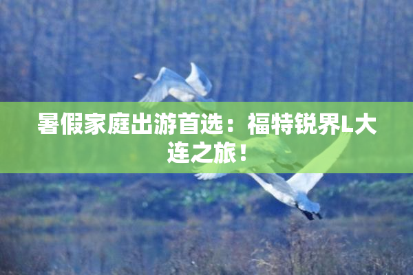 暑假家庭出游首选：福特锐界L大连之旅！