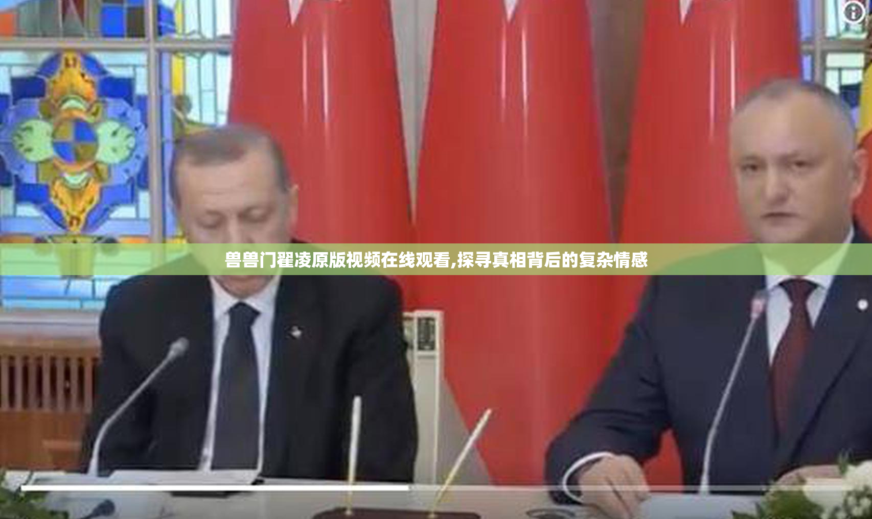 兽兽门翟凌原版视频在线观看,探寻真相背后的复杂情感