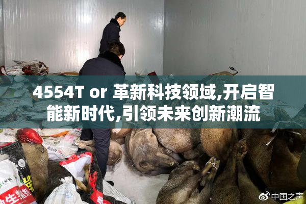 4554T or 革新科技领域,开启智能新时代,引领未来创新潮流