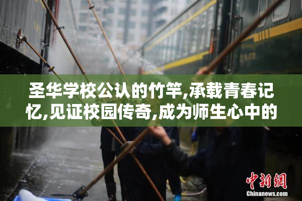 圣华学校公认的竹竿,承载青春记忆,见证校园传奇,成为师生心中的