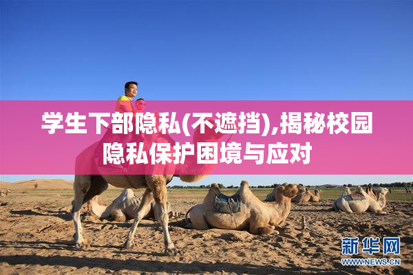 学生下部隐私(不遮挡),揭秘校园隐私保护困境与应对