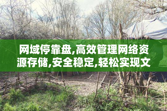 网域停靠盘,高效管理网络资源存储,安全稳定,轻松实现文件共享与备份