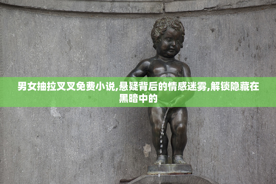 男女抽拉叉叉免费小说,悬疑背后的情感迷雾,解锁隐藏在黑暗中的