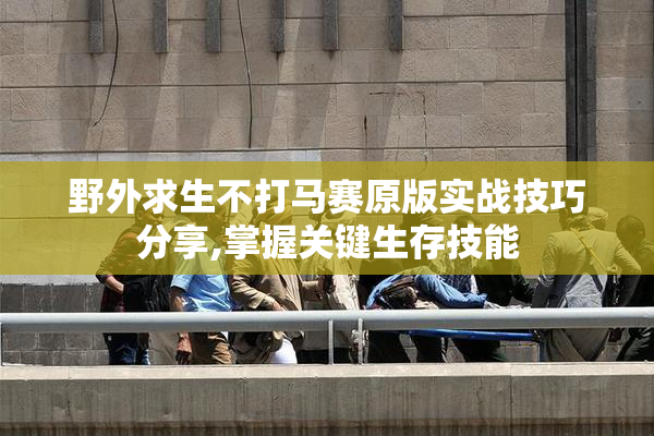 野外求生不打马赛原版实战技巧分享,掌握关键生存技能